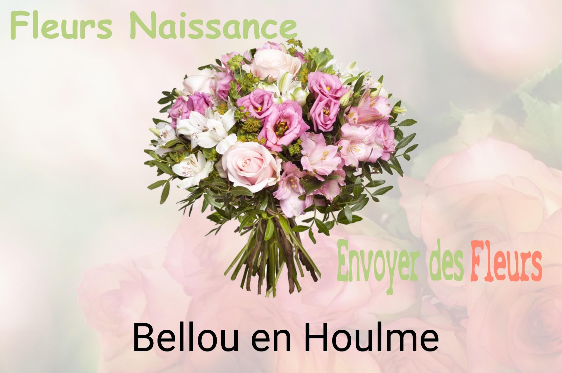 Bouquet de fleurs de naissance livré à Bellou-en-Houlme